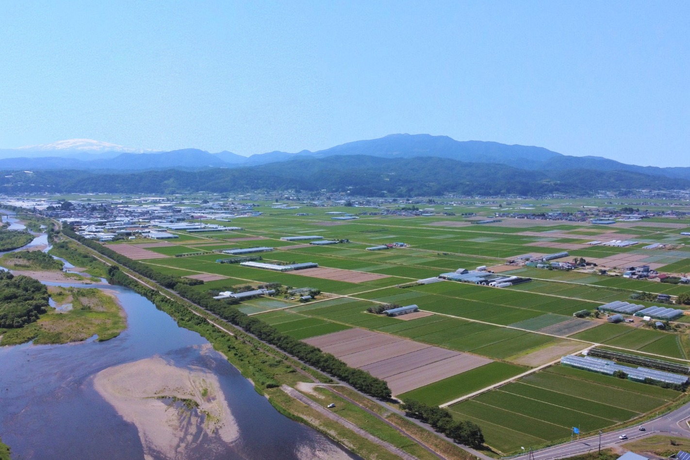 河北町_最上川月山水田